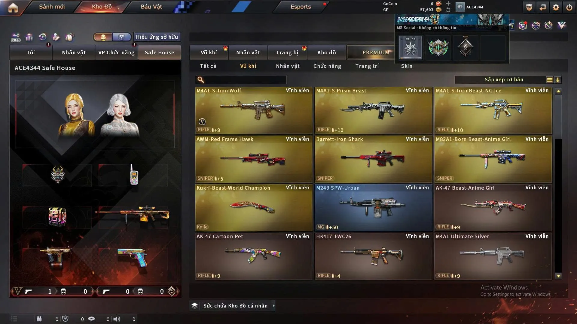 Account Preview